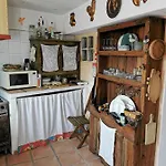 Argonauta Óbidos