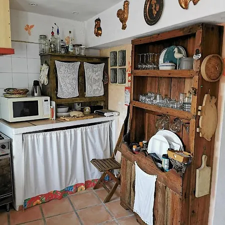 Argonauta Óbidos