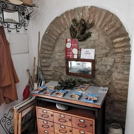 Argonauta Albergue *