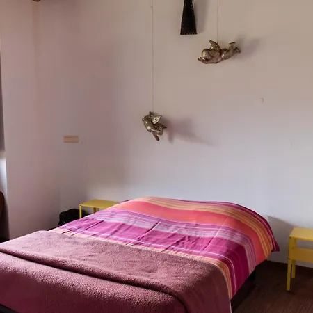 Argonauta Hostel