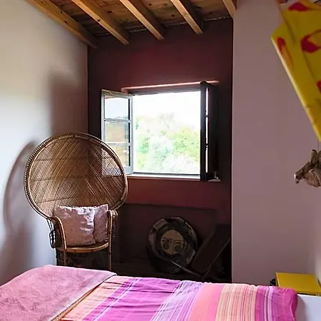 Albergue Argonauta