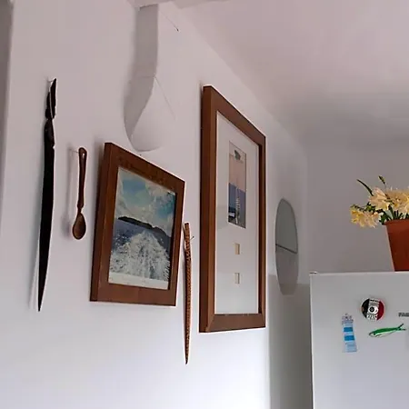 Argonauta Óbidos