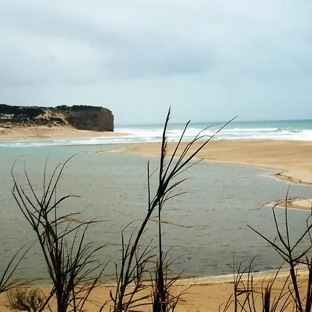Argonauta Óbidos