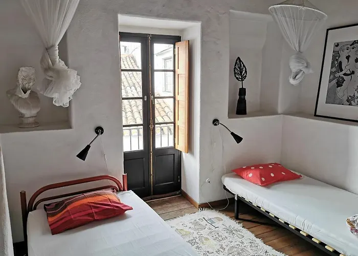 Argonauta オビドス