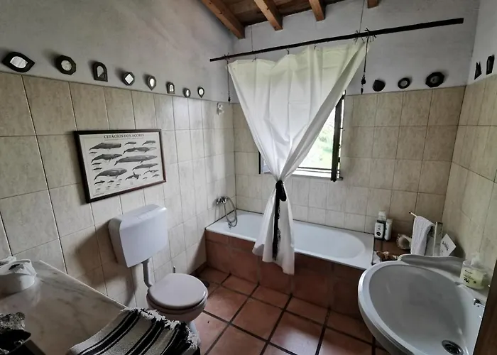 ホステル Argonauta *