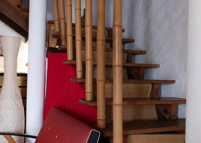 Argonauta * オビドス