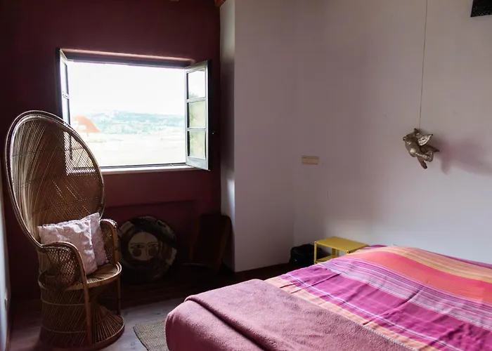 Argonauta ホステル *