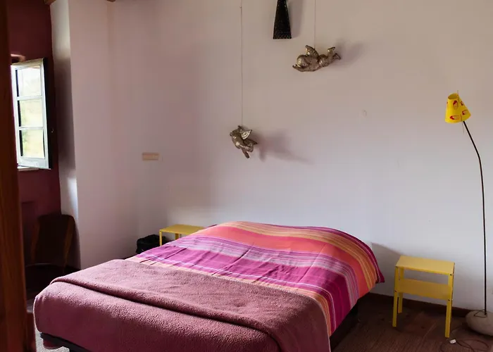 Argonauta ホステル