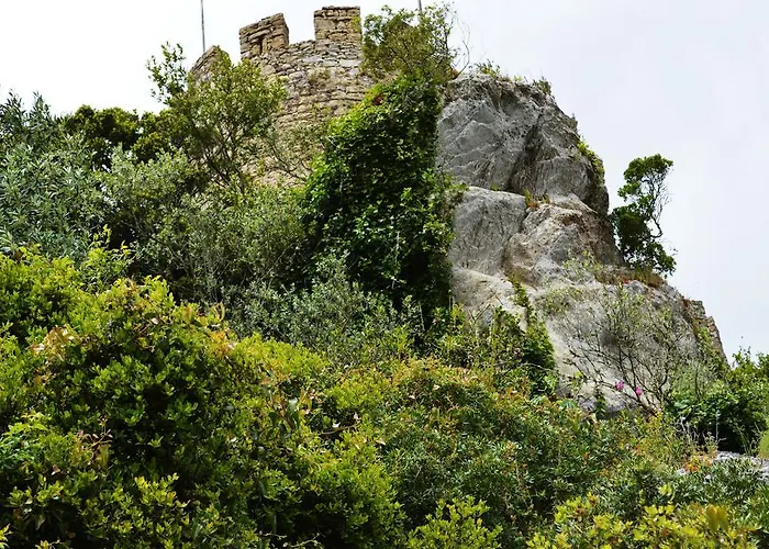 Argonauta ホステル *