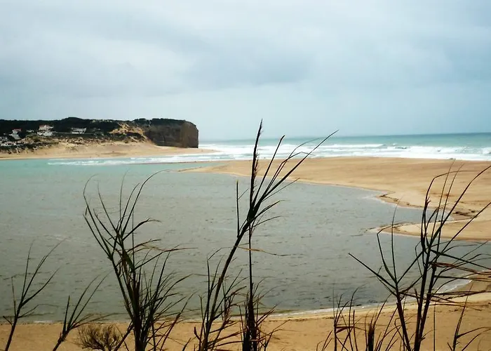 Argonauta Óbidos